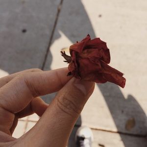 Meet your Posher, Sophia